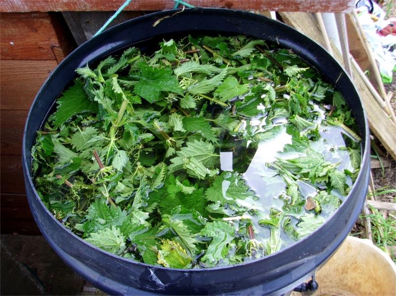 Plantenversterkende extracten compostthee
