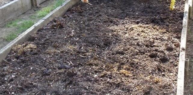Woelriek & compost Voor of na het werk met de woelriek: het kan