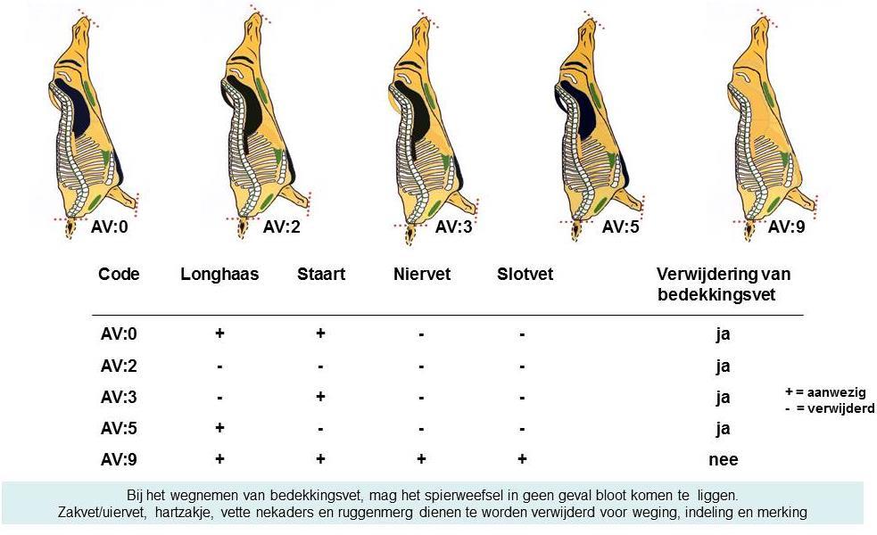Correcte classificatie - Aanbiedingsvorm Code Vetheidskla ssen Correctiecoëfficiënten voor de berekening van het omgerekende karkasgewicht bij