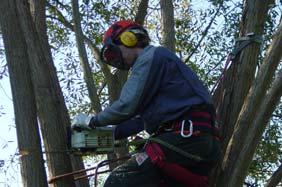 In elk geval mag het met de hand dragen van lasten op een ladder of een trap niet een veilig houvast belemmeren.