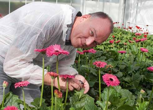 Daan Verbeek over afdeling kennis Horticoop: 'ER II goed toepasbaar in geïntegreerde teelt' larven en volwassen mijten en insecten, mits ze goed worden geraakt.