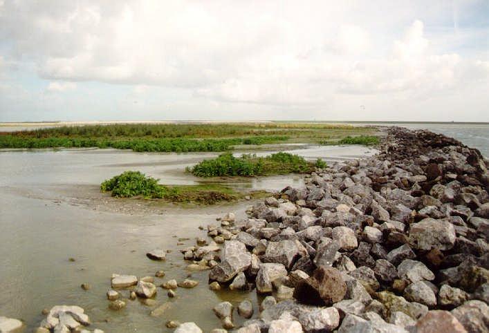 In dit deel is verzakking opgetreden in de stenendam en de golven hebben hierdoor min of meer vrij spel. Vanwege de dynamiek is deze plek onbegroeid.