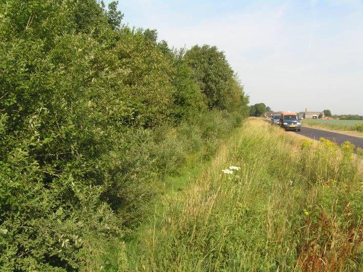 GPL-Zuid Water, Ecologie en Groen Uitwerking water Greenportlane-Zuid (GPL-Zuid) Projectnr. 0238682.