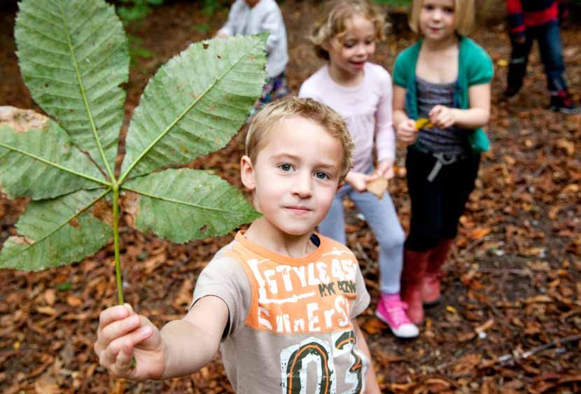 3.7 Kan de school weigeren jouw kind in te schrijven? Voldoet jouw kind niet aan de voorwaarden voor het lager onderwijs? Dan moet onze school de inschrijving helaas weigeren.