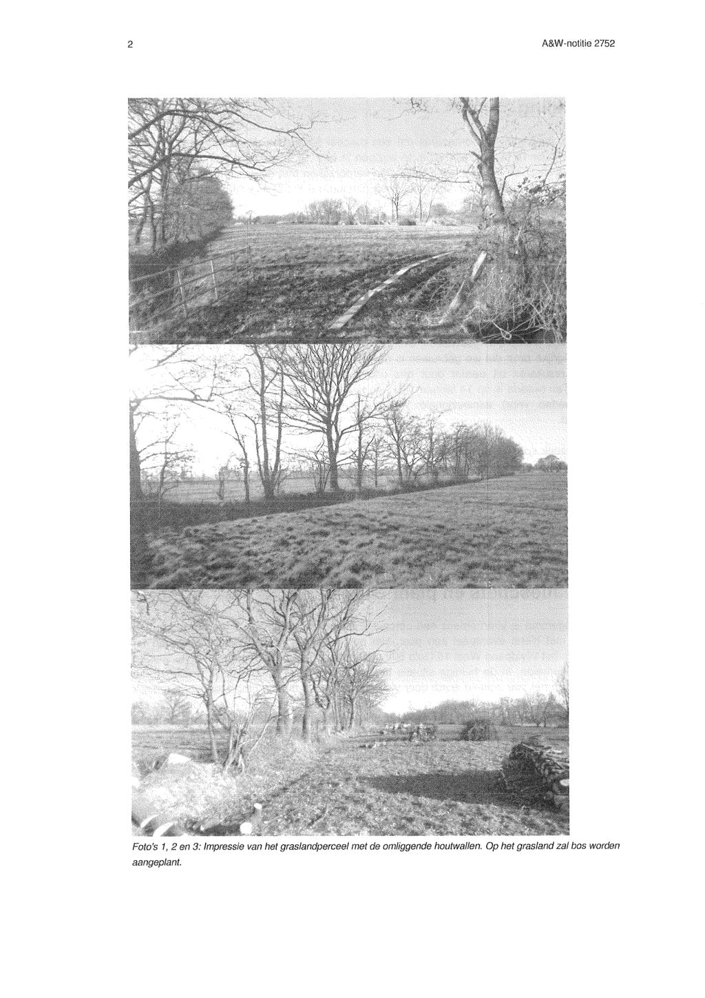 2 A&W-notitie 2752 Foto's 1, 2 en 3: lmpressie van het graslandperceel
