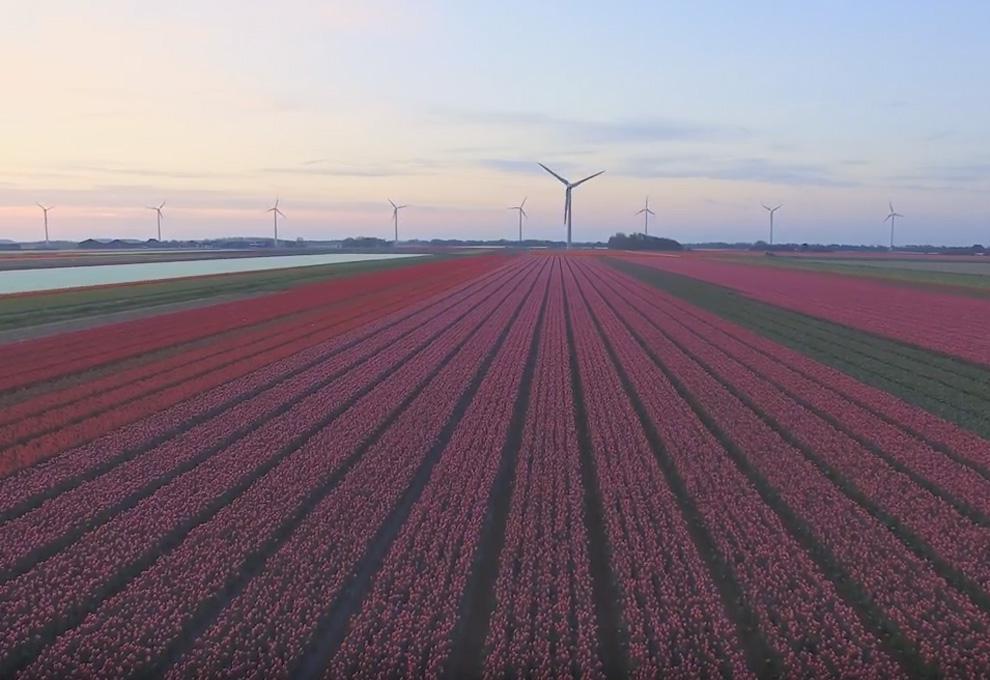 Agrarische ondersteuning en oplossingen De opmars van drones in onze huidige maatschappij is niet meer te stoppen. Wat kunnen deze drones betekenen voor de agrarische sector?