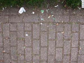 Hoeveel sigarettenpeuken liggen er (kijkend naar totaalbeeld station Leidschenveen)?