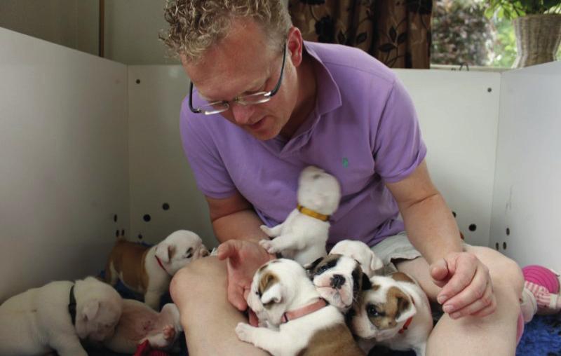 Een aantal problemen die voorkomen bij de Engelse Bulldog waardoor een eventuele natuurlijke geboorte niet mogelijk zou zijn zie ik in mijn kennel niet meer. Ik noem o.a. weeënzwakte, onvoldoende conditie, een te nauw bekken, pups die te groot zijn, de moeder kan de pups niet uit het vlies halen.