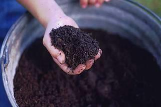 Voordelen van compostgebruik op een rijtje Verbetert de bodemstructuur Betere