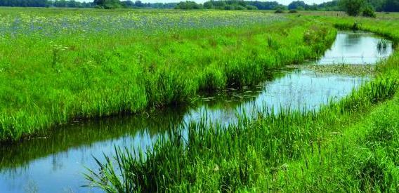 De kans dat gewasbeschermingsmiddelen door de wind in het oppervlaktewater komen,