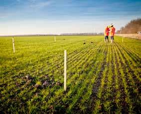 WINDPARKEN GEVEN ONS ENERGIE Bij de bouw van een windpark komen diverse disciplines en activiteiten veelal tegelijk samen.