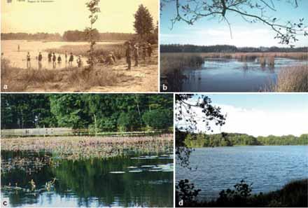 GROOTSCHALIG NATUURHERSTEL IN DE KRAENEPOEL, EEN HOSTE, SARA DENAYER, LUC DENYS, LUC DE MEESTER & WIM VYVERMAN ARTIKELS 47 Figuur 2.