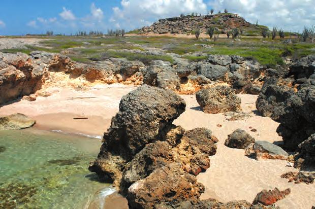 Fascinerende landschappen WASHINGTON-SLAGBAAI NATIONAAL PARK WINDMOLENPARK Bonaire heeft sinds een paar jaar een windmolenpark en dat is goed nieuws.