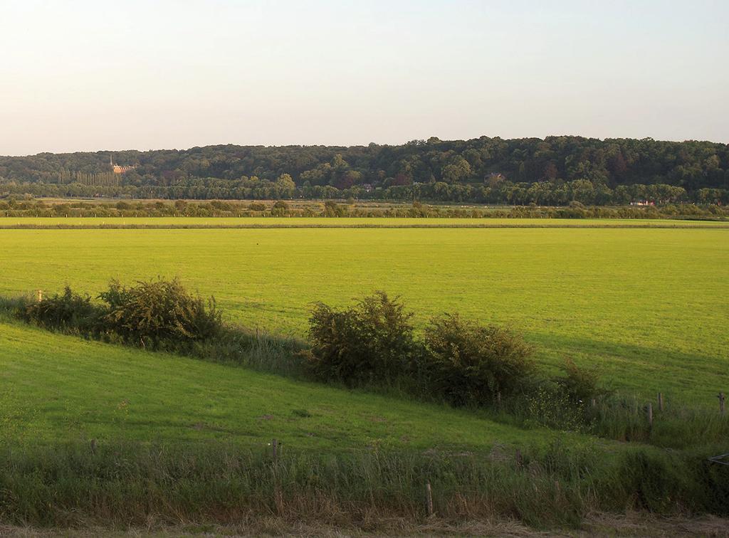 Erweitern Sie den Horizont mit INTERREG Zusammenarbeit zwischen Verwaltungen, Wissenseinrichtungen, Firmen und Vereinen beiderseits der Grenze führt zu interessanten und erfolgreichen Kombinationen.