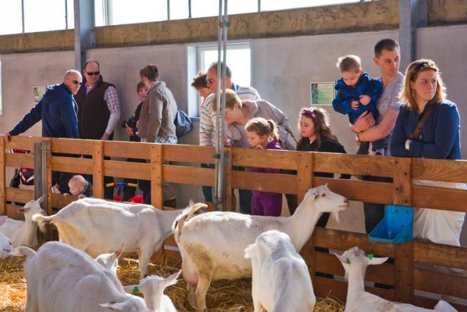 Goeree-Overflakkee biedt de meest uiteenlopende verse producten: aardappelen,