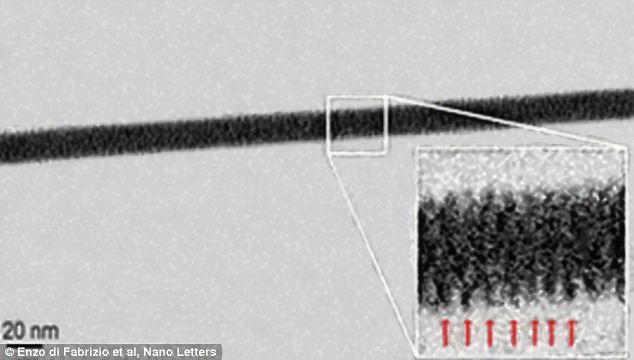 We zijn hier op de nanometerschaal (nm), oftewel 10 9 m, een miljardste meter. Cellen en DNA zijn niet alleen onderdeel van ons lichaam, maar ook deel van ons denken.