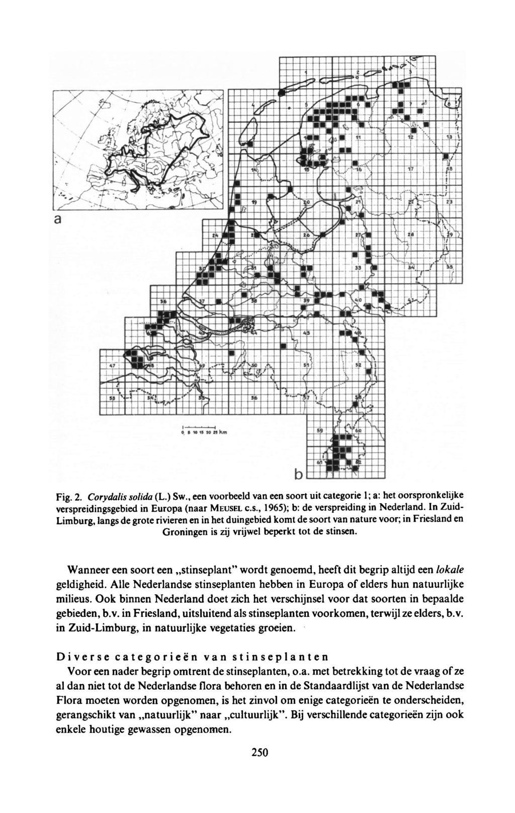 Fig. 2. (L.) Sw., een voorbeeld vaneen soort uit ategorie a: het 1; oorspronkelijke Corydalis solida verspreidingsgebied in Europa (naar MEUSEL C.S., 1965); b: de verspreidingin Nederland.