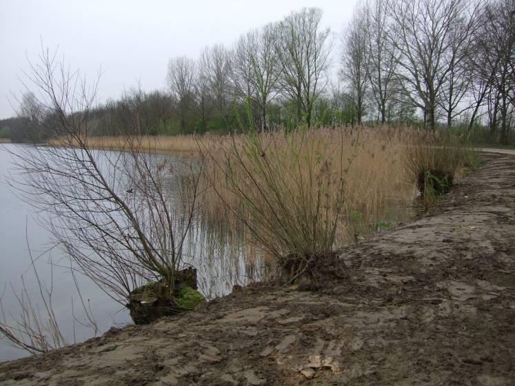 landschappelijke eenheden te onderscheiden: het Oost-Nederlands plateau, het dekzandlandschap, de