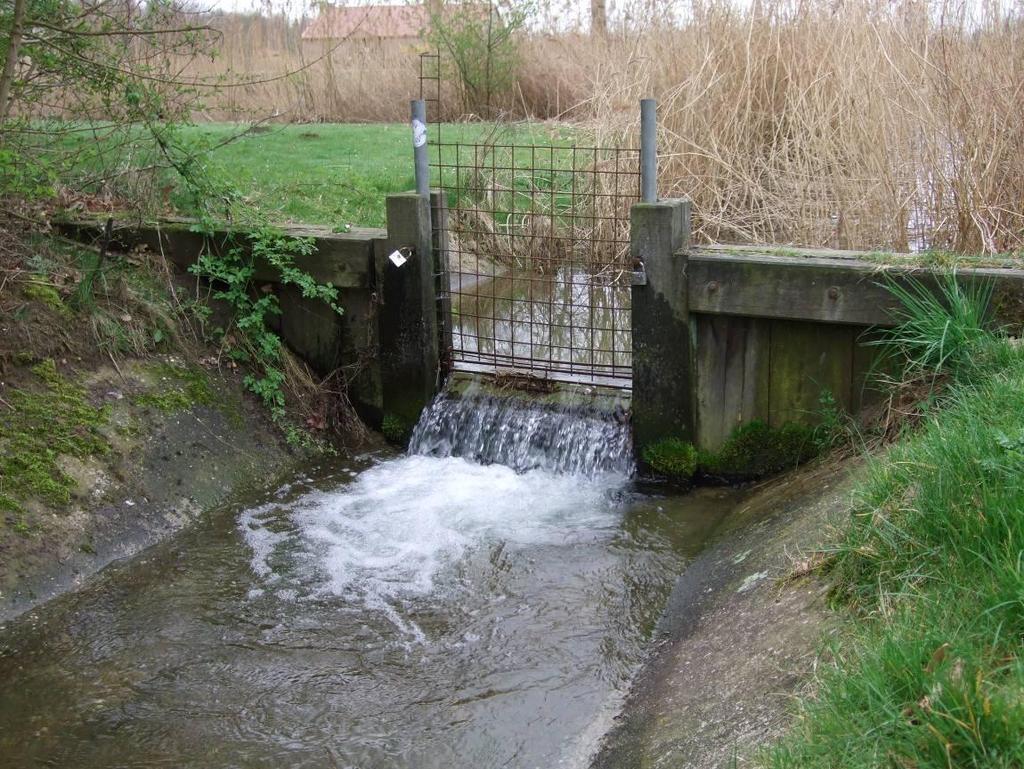 Aan de noordzijde van de plas stroomt de Wijnbergse Loopgraaf. De watergang stroomt naar het noorden en komt uit in de Oude IJssel.