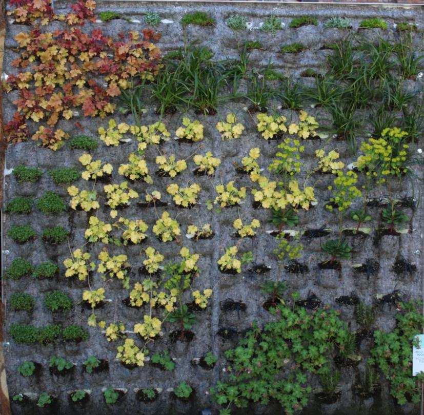 kamerplanten, binnentoepassing) 15 Ecoworks greenwall door Ecoworks Organisch substraat Textiel