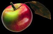 Uit ons eigen woordenboek: familie-appel of peer = een appel of een peer die bestemd is voor iedereen.