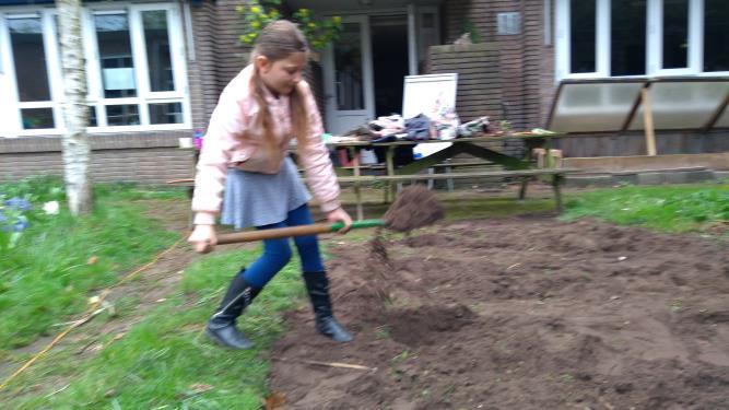 Belangrijk daarbij is dat we het doen uit de gedachte van Samen optrekken. Gezamenlijk kunnen we de school, en natuurlijk vooral kinderen, een mooie toekomst geven. Tuinwerkdag 1 april groot succes!