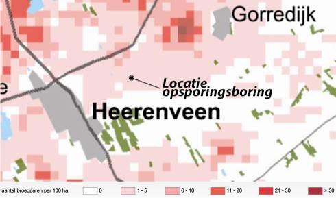 De Grutto wordt als gidssoort voor weidevogels beschouwd.