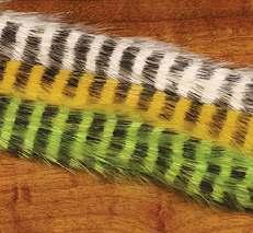 10 Barred kleuren: black barred over: white, yellow, tan, light olive, shad gray, fluo red, fluo