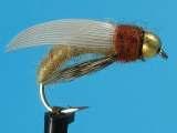 caddis pupa