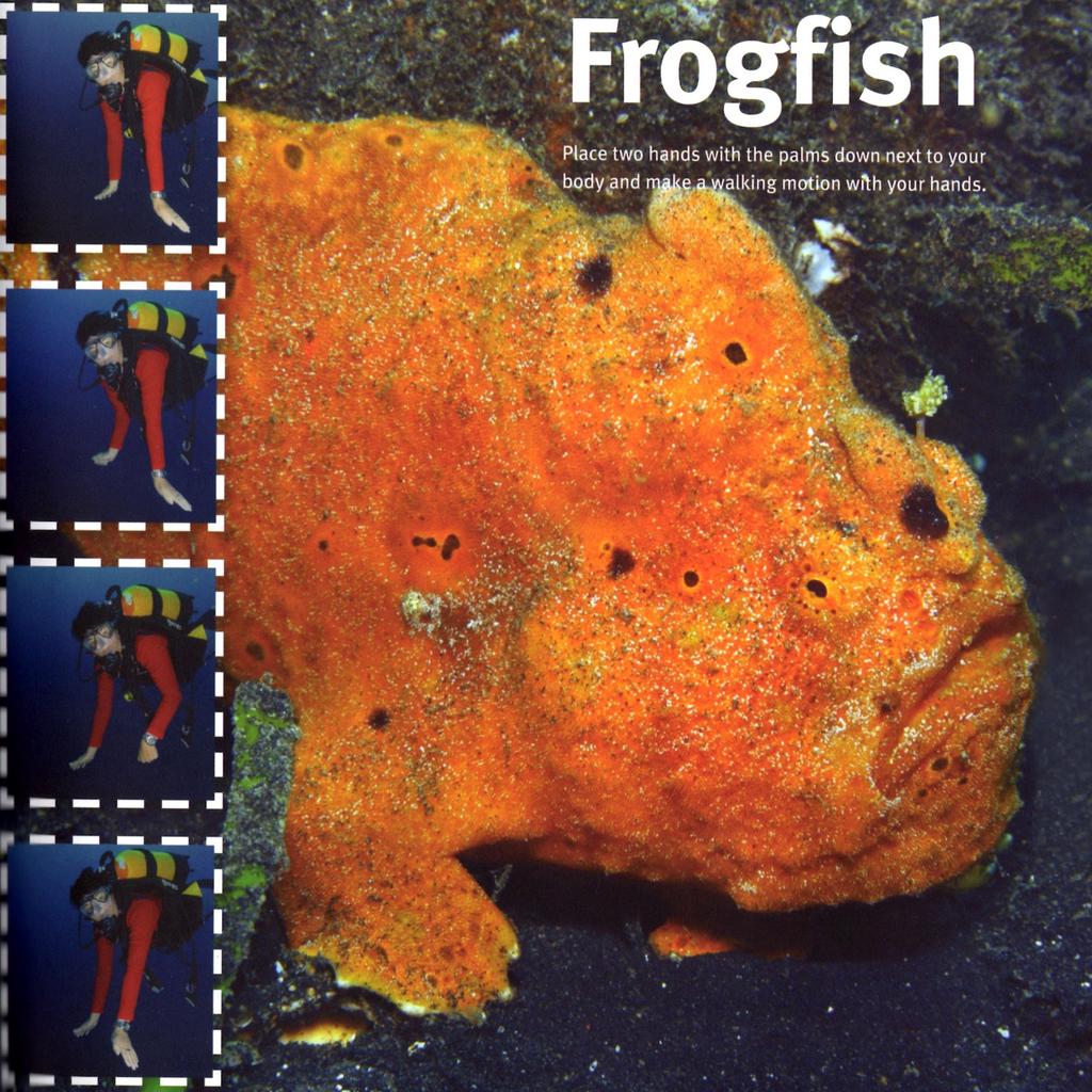 Zie je onderwater een hengelaarsvis (frogfish) en wil je dit je buddy duidelijk maken.