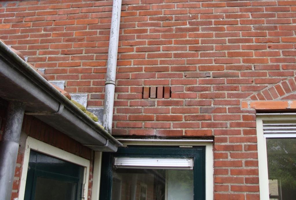 Meerdere kastanjes aan De Kempenaerstraat hebben holtes. Enkele van deze holtes zijn potentieel geschikt als verblijfplaats van boombewonende vleermuissoorten (figuur 15).