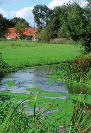 van zeldzame en soortenrijke natuur. Diverse vogel- en vleermuissoorten zullen profiteren van de aanleg van houtsingels en bomenrijen.