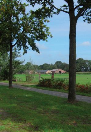 Oude Akkers (oud besloten zandontginningslandschap): Verspreid door gemeente, in kransen rond dorpen en rond kleine nederzettingen.