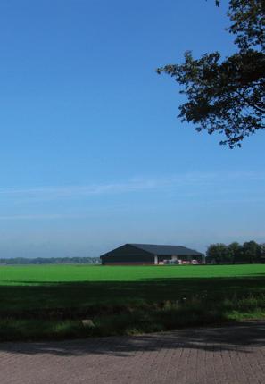 Jonge ontginningen (open /halfopen jong zand- of heideontginningenlandschap): Verspreid door gemeente, tussen de oude akkercomplexen, op de overgang naar de bosgebieden Karakter: grote schaal, open,