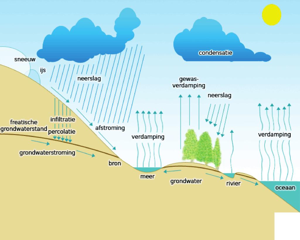 7. Hydrologische cyclus Met de hydrologische cyclus wordt het natuurkundige proces bedoeld waarbij oppervlaktewater, zoals zeewater, verdampt.