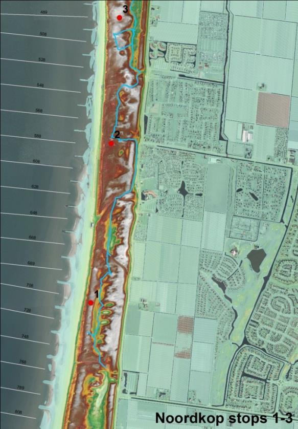 3 Conclusies veldbezoek Noordduinen Grafelijkheidsduinen Op 24 maart hebben namens het DT Duin- en Kustlandschap Bas Arens, Marijn Nijssen en Mark van Til een bezoek gebracht aan de Noordduinen en de