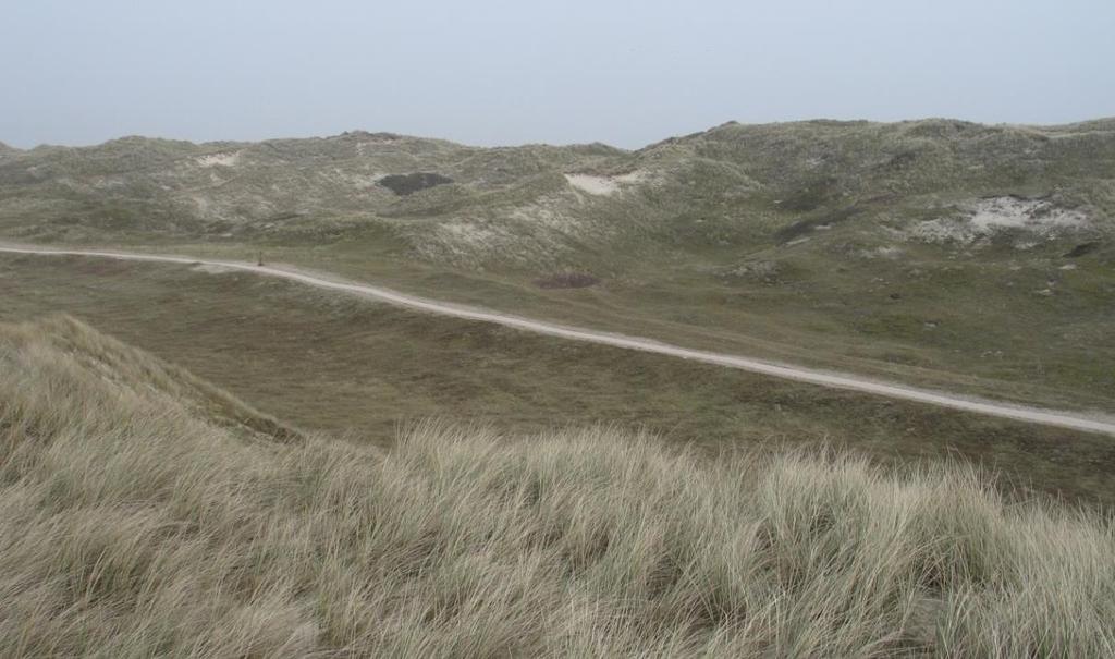 Strandslag Drooghe Weert Strandslag Julianadorp Ten westen van het wandelpad is in dit gedeelte van de Noordduinen sprake van verstuivingsdynamiek vanuit de zeereep, waardoor kalkhoudend zand tot