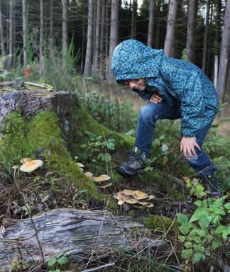 De groene pracht wordt geheel dooraderd met ontelbare bronbeken en riviertjes, waar de Ardennen voor een belangrijk deel hun schilderachtigheid aan te danken hebben.