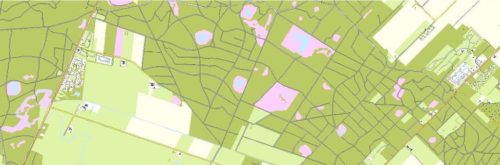 De Oude Willem versterkt op deze manier het unieke natuurlijke karakter van Nationaal Park Drents-Friese Wold ten opzichte van andere Nederlandse bosgebieden. 2.2. Huidige situatie /Plangebied 2.2.1.