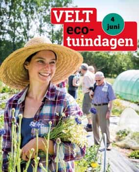 ECO TUINDAGEN Met de Velt-ecotuindagen wil Velt inspelen op de grote vraag naar informatie over gezond en milieuvriendelijk (moes)tuinieren in de stad en op het platteland.