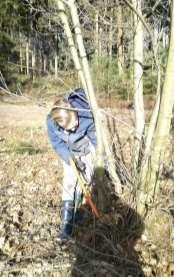 Sommige jongens gingen vol enthousiasme met een grote boom van start, om halverwege in te zien dat een dunner exemplaar sneller neergaat.