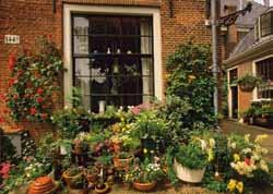 Omgeving en groen Natuur, water, hofjes, tuinen en balkons Haarlemse kwaliteiten Gevarieerd aanbod Alle kwaliteiten die in (de omgeving van) Haarlem te vinden zijn, vindt u straks ook in De