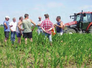 Groep gras/maïs Na goedkeuring van de aanmelding hebben DLV-adviseurs de bedrijven bezocht en een gewasbeschermingplan opgesteld.