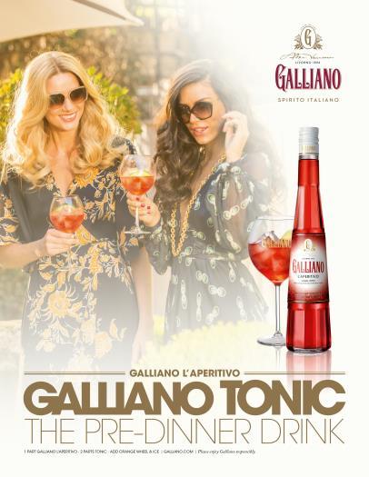 Operationele hoogtepunten 2016/17 Dubbelcijferige omzetgroei Italiaanse Likeuren Introductie van Galliano