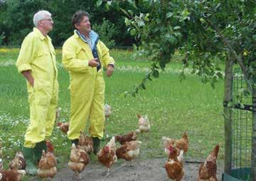 Bij een meer professionele aanpak en schaal, heeft de combinatie kippen en fruitteelt op verschillende vlakken een toegevoegde waarde.