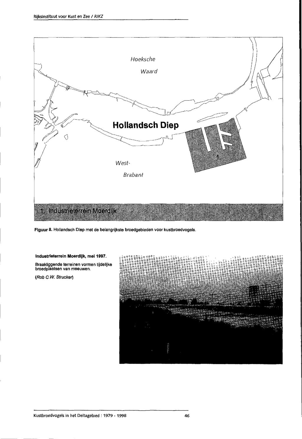 Hoeksche Waard Hollandsch Diep West Brabant 1. Industrieterrein Moerdijk Figuur 8. Hollandsch Diep met de belangrijkste broedgebieden voor kustbroedvogels.