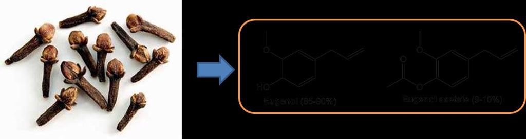 Practicumtoets Nationale Scheikundeolympiade 2013 Het isoleren en karakteriseren van kruidnagelolie uit kruidnagels Inleiding Kruidnagels zijn gedroogde bloemknoppen van de kruidnagelboom, Eugenia