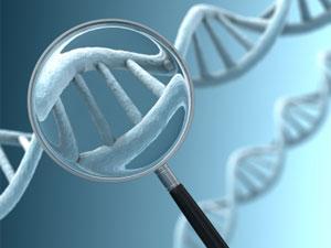 Wat wordt er gedaan: DNA van kinderen met CMTC wordt onderzocht en er wordt naar afwijkingen gezocht op genen die mogelijk zouden kunnen verklaren waarom CMTC ontstaat.