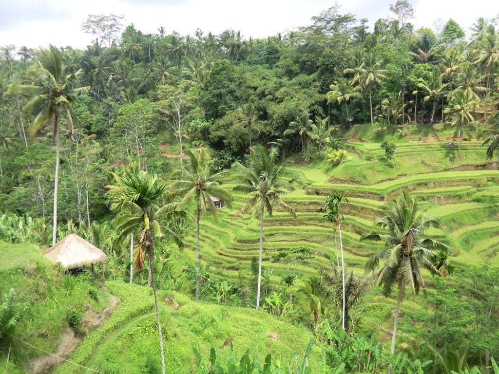 BALI-LOMBOK SUMBAWA BMW GS ADVENTURE Vanaf het moment dat het vliegtuig geland is, zal Indonesië je overvallen met haar letterlijk warme welkom.