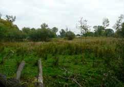 Ht par hft lmntn van d ngls landschapsstijl: cultuurhistorisch lann, grot solitair bomn, grasvlan mt hstrclumbs. D opnhid di ht par uitstraalt is n waardvol contrast mt d natuurwaardn van d Dommlbimd.